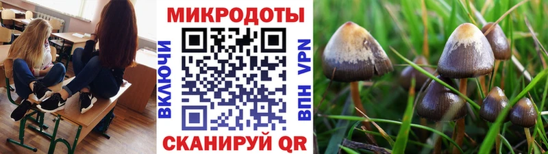 Галлюциногенные грибы Cubensis  купить   Уяр 